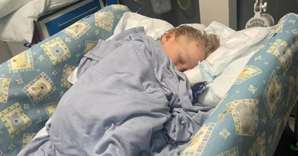 Un perro atacó a su hijo de 4 años y luchó para salvarlo mientras sostenía a su bebé en brazos: «Lo mordió en la cabeza»