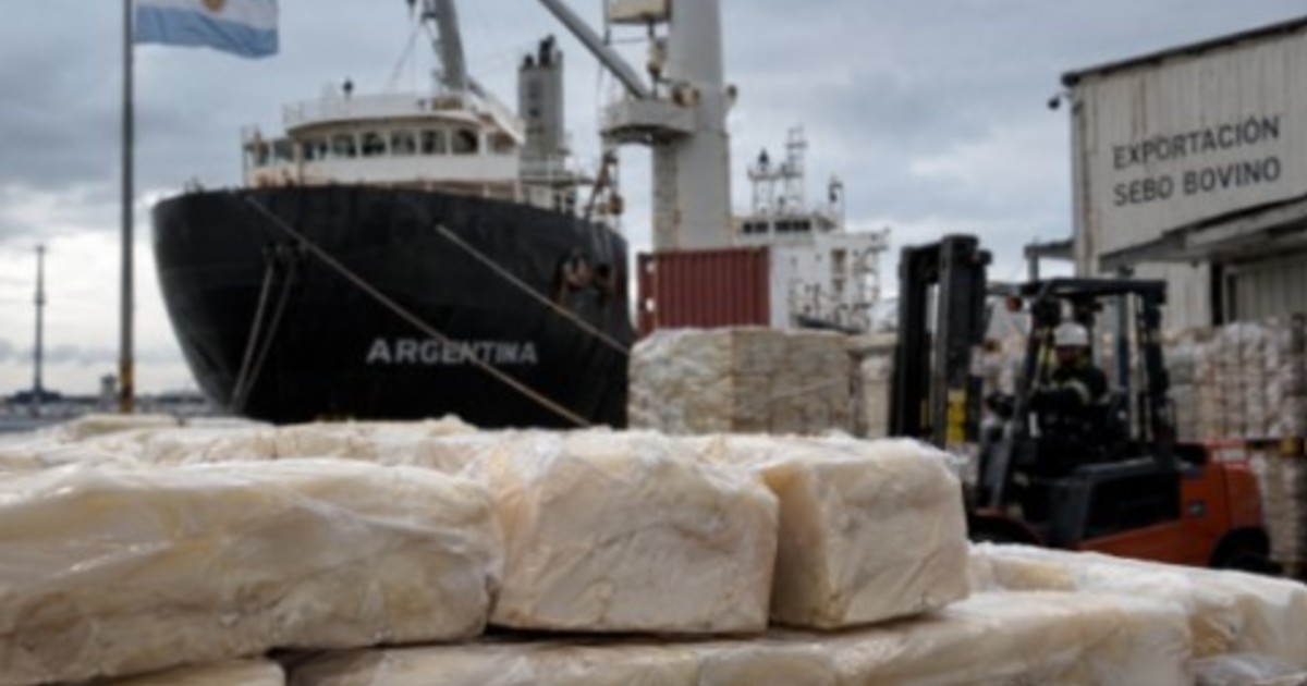 “Un volumen inimaginable”: un subproducto de la carne se convirtió en la nueva estrella del sector y multiplicó sus exportaciones por 20 en la última década “Un volumen inimaginable”: un subproducto de la carne se convirtió en la nueva estrella del sector y multiplicó sus exportaciones por 20 en la última década