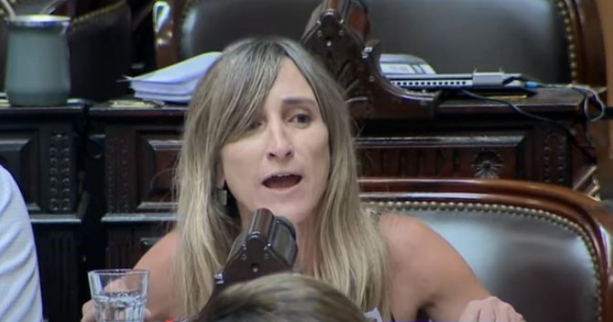 una-diputada-libertaria-propuso-suspender-los-sueldos-de-los-diputados-que-insulten-en-el-congreso