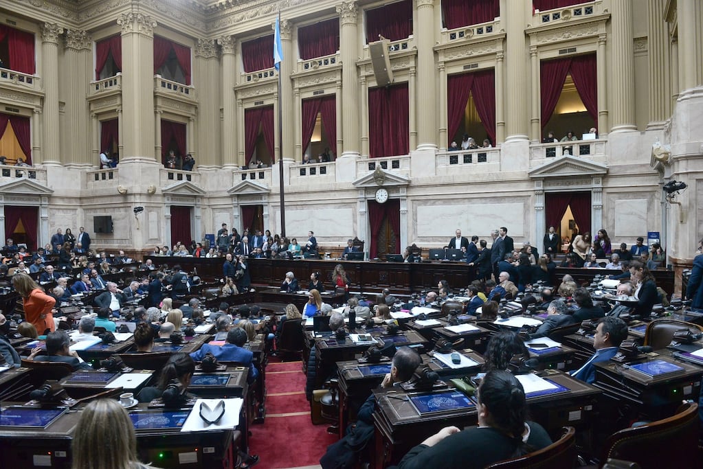 Diputados debate en una megasesión la Ley de Tierras, Discapacidad y endeudamiento familiar