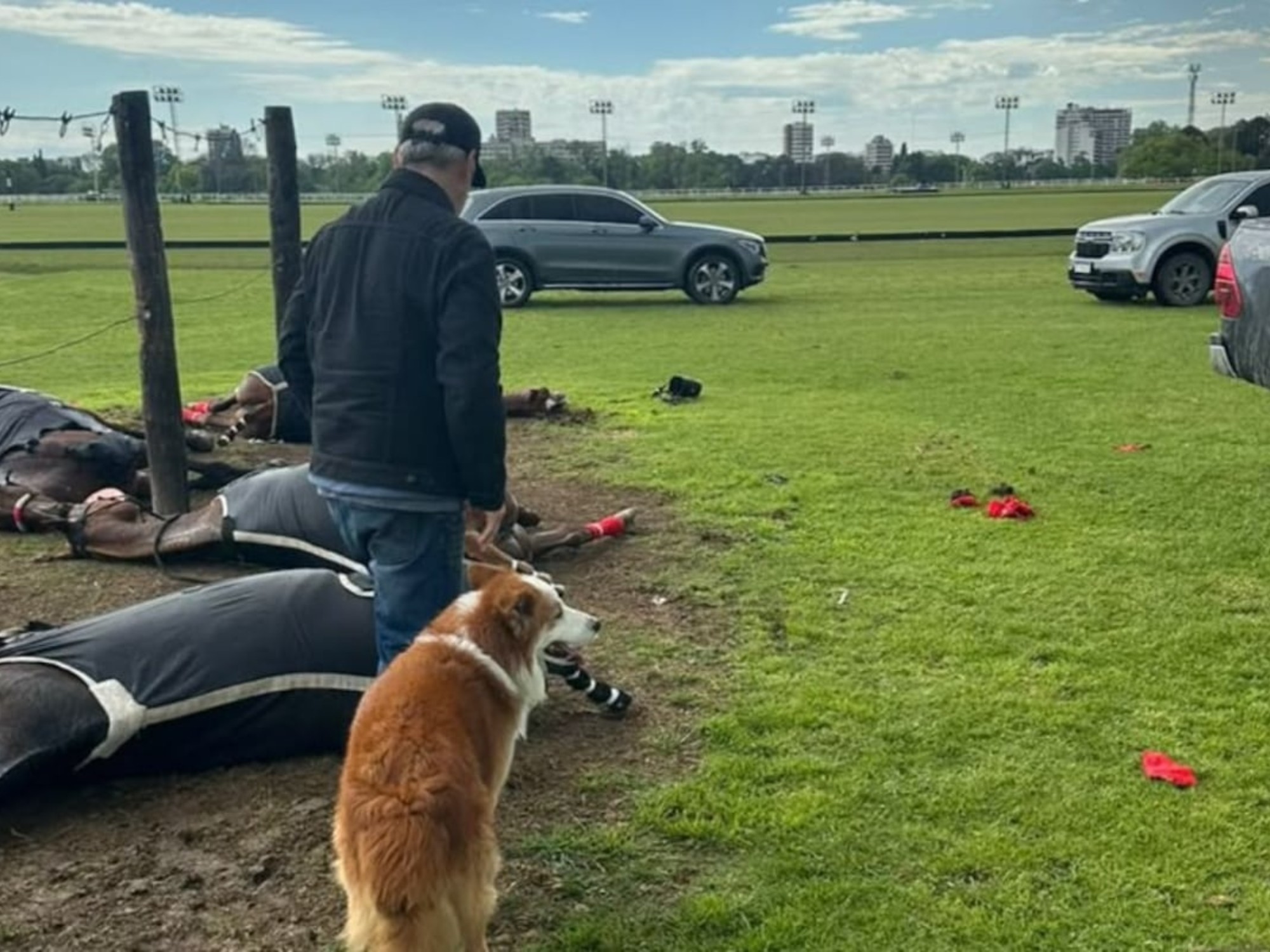 Un rayo mató a cuatro yeguas de polo durante una práctica en el Jockey Club de San Isidro