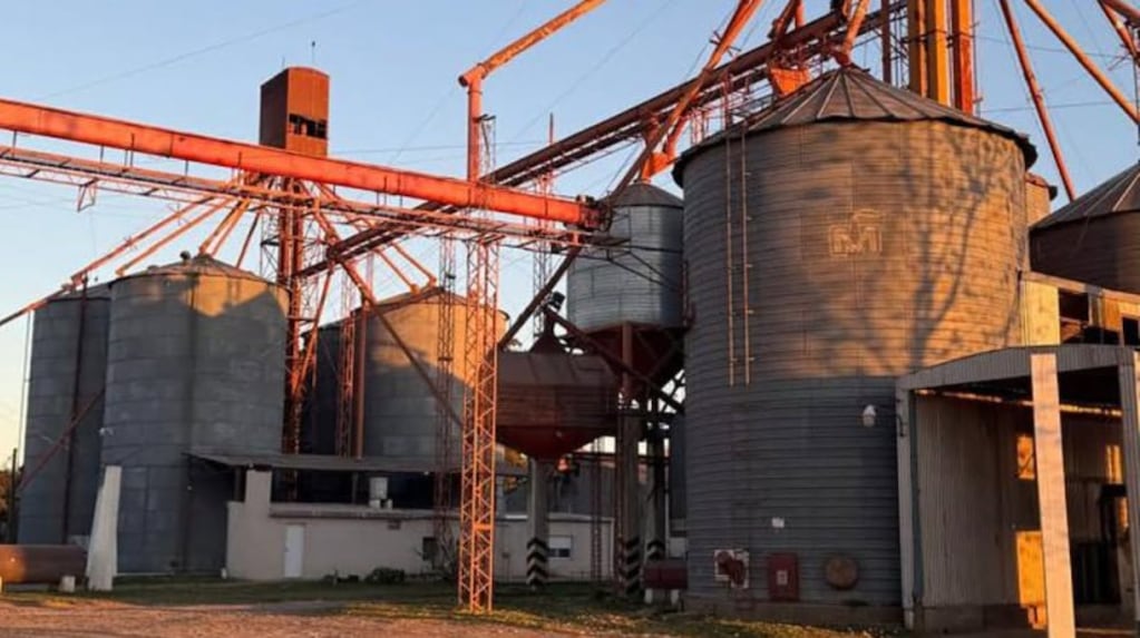 Lincoln: un trabajador de 32 años murió aplastado por una avalancha de maíz dentro de un silo Lincoln: un trabajador de 32 años murió aplastado por una avalancha de maíz dentro de un silo
